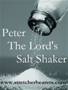 Peter-The Lords Salt Shaker